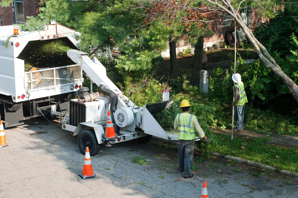 Crew feeding brush into a wood chipper on a residential street