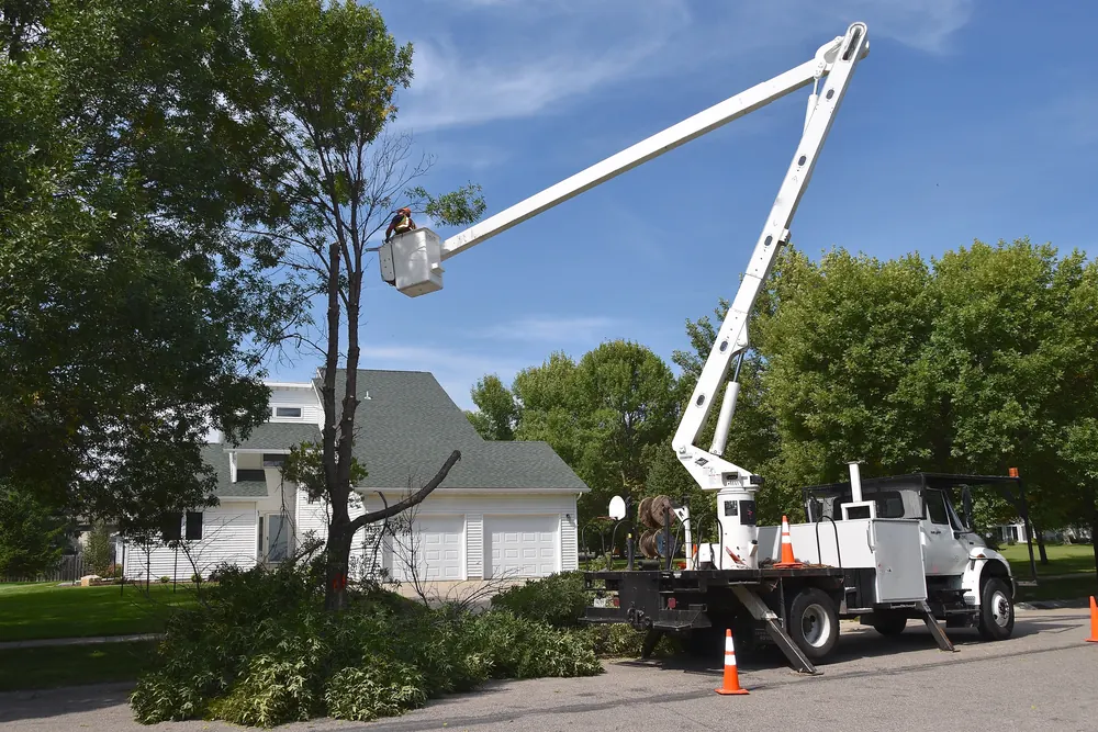 Bucket truck lifting an arborist to trim a tree beside a home