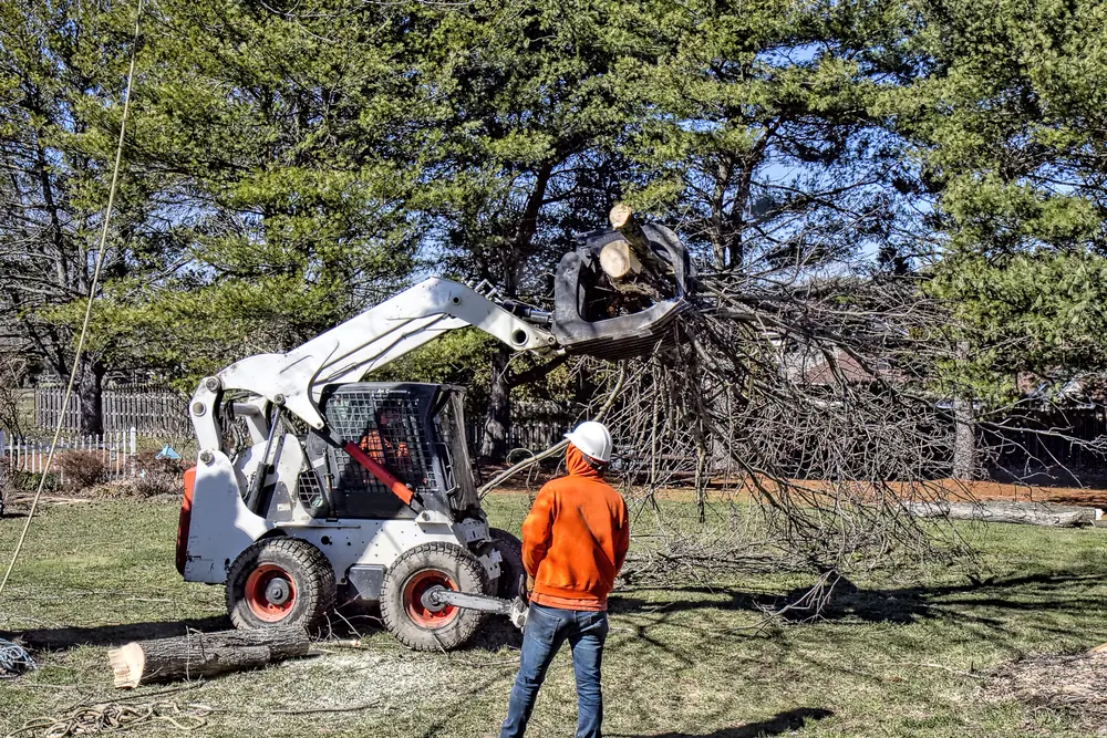 Crew and skid steer clearing fallen limbs from a yard